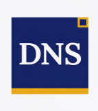 DNS Intelligence Group